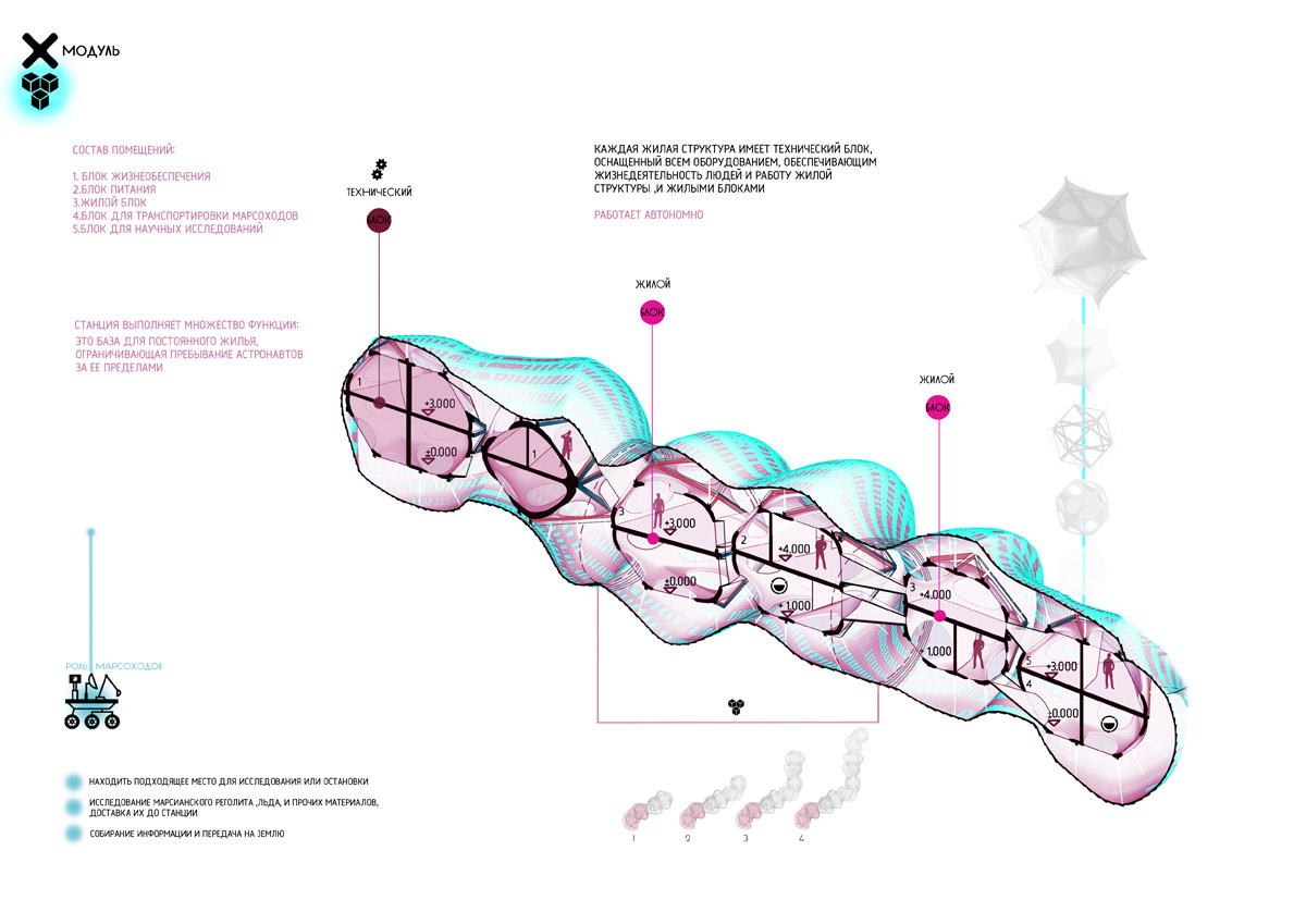 Module plan, with levels from ±0.000 to +4.000, and the technical and housing blocks